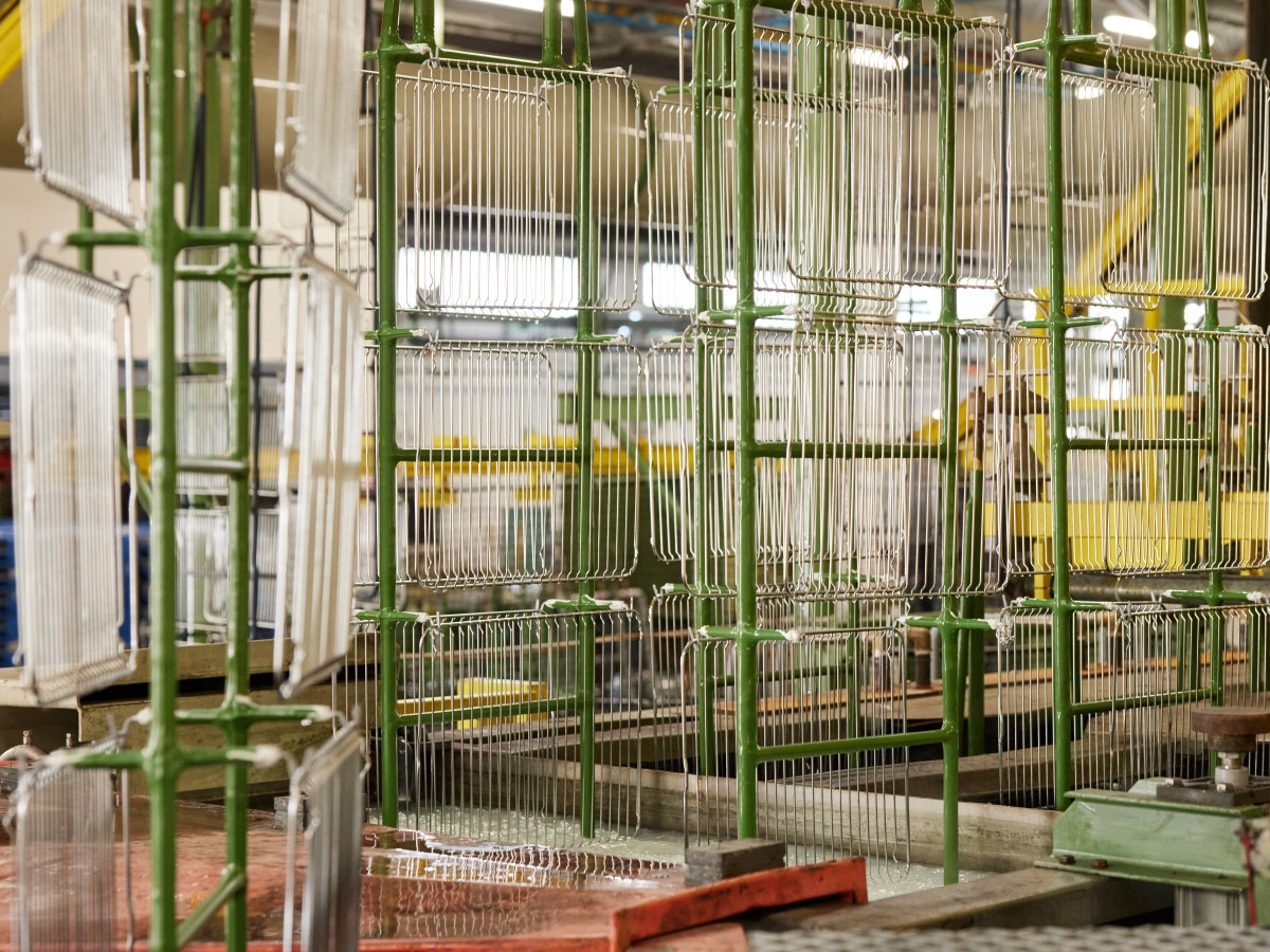 R5D 2646.jpg www linia